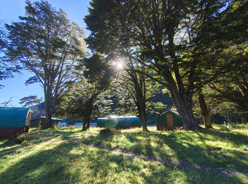 River of Dreams camp under the lenga trees — roadless basecamp near Coyhaique